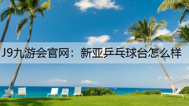 J9九游会官网：新亚乒乓球台怎么样
