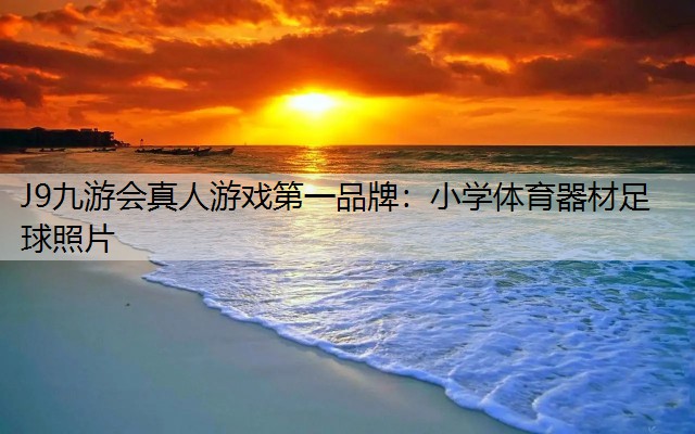 J9九游会真人游戏第一品牌：小学体育器材足球照片