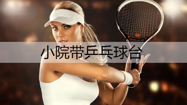 小院带乒乓球台