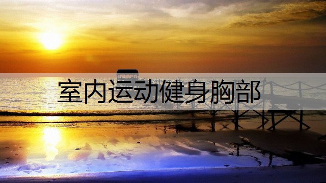 室内运动健身胸部
