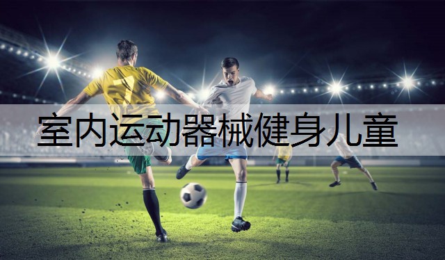 室内运动器械健身儿童