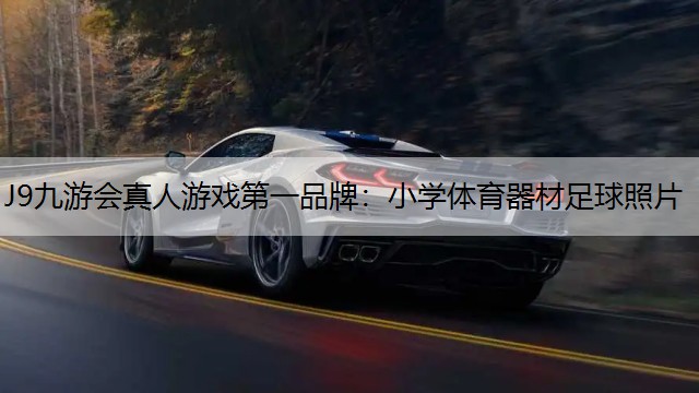 小学体育器材足球照片